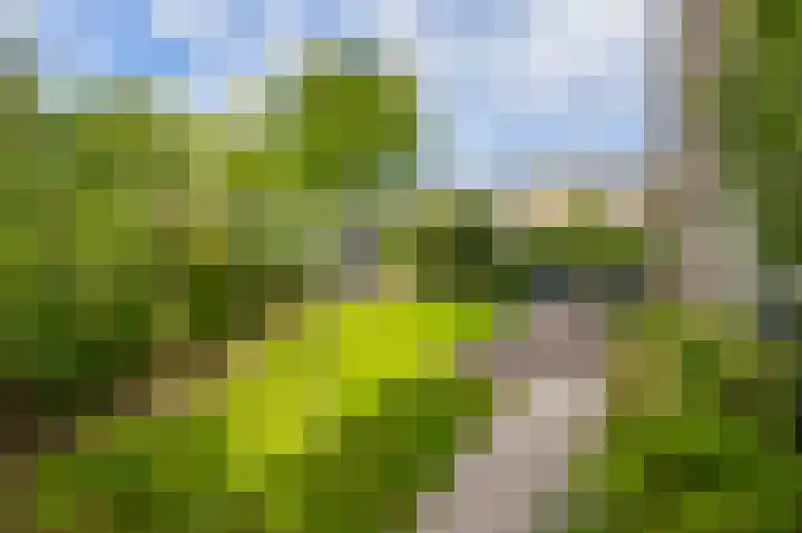 Andante 14 Krimpen aan den IJssel thumbnail 4