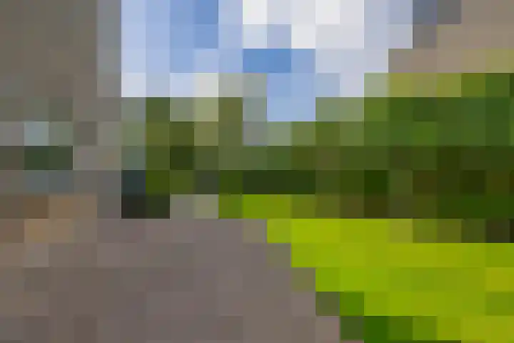 Andante 14 Krimpen aan den IJssel thumbnail 44