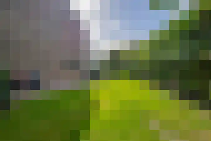 Andante 14 Krimpen aan den IJssel thumbnail 45