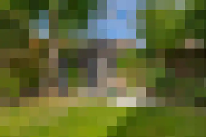 Andante 14 Krimpen aan den IJssel thumbnail 46