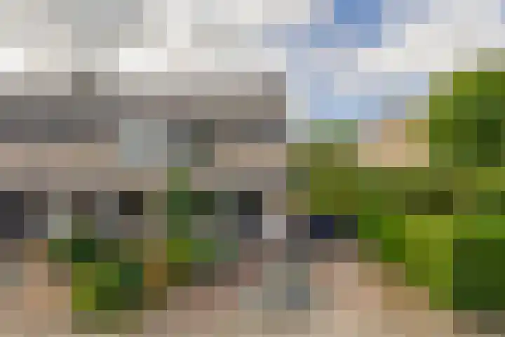 Andante 14 Krimpen aan den IJssel thumbnail 50