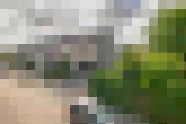 Andante 14 Krimpen aan den IJssel thumbnail 54