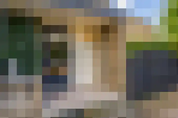 Andante 14 Krimpen aan den IJssel thumbnail 6