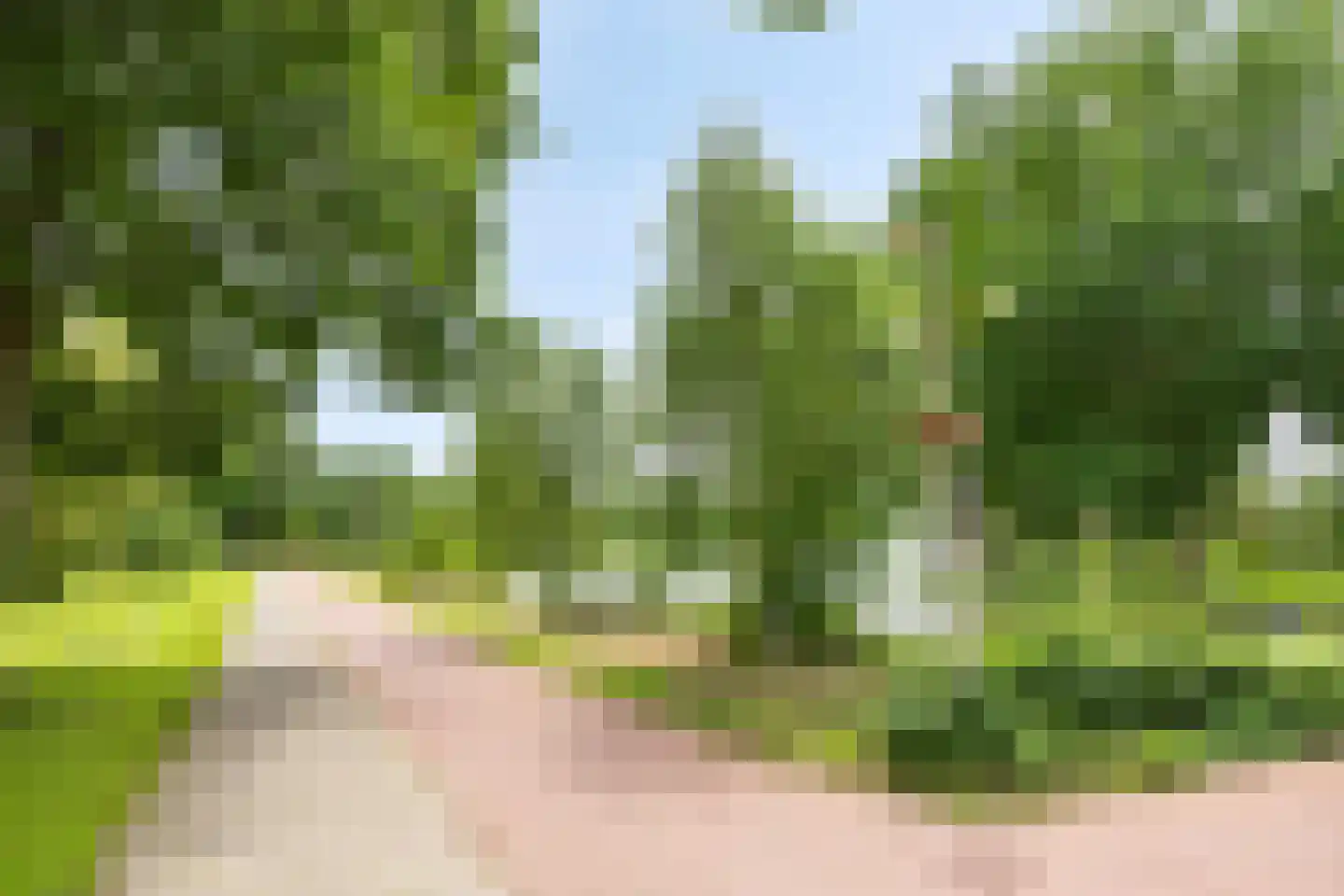 Andante 19 Krimpen aan den IJssel thumbnail 123