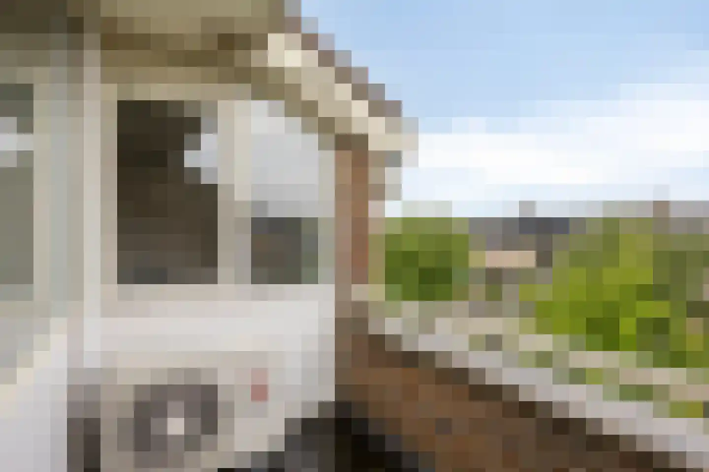 Andante 19 Krimpen aan den IJssel thumbnail 84