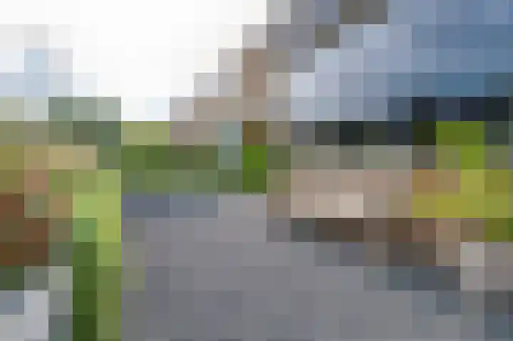 Andante 20 Krimpen aan den IJssel thumbnail 10