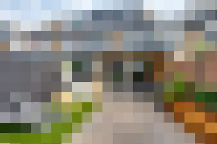 Andante 20 Krimpen aan den IJssel thumbnail 62