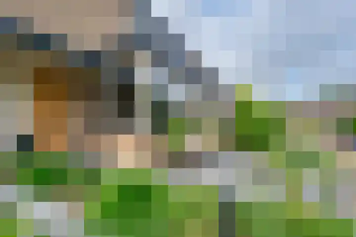 Andante 20 Krimpen aan den IJssel thumbnail 9