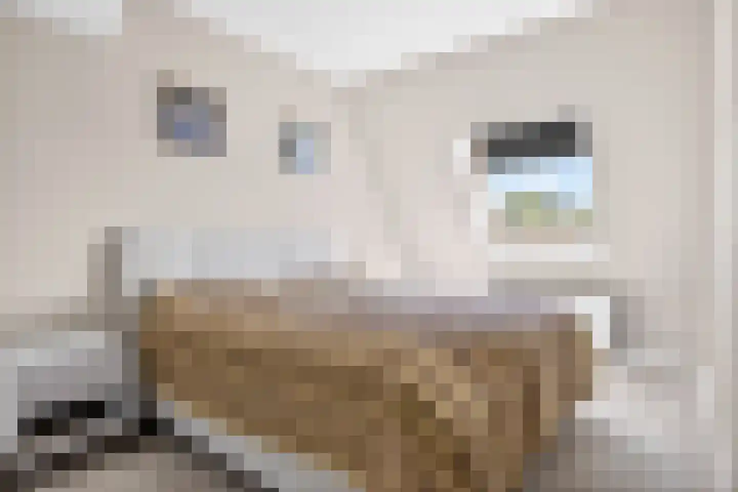 Andantelaan 14 Arnhem thumbnail 11