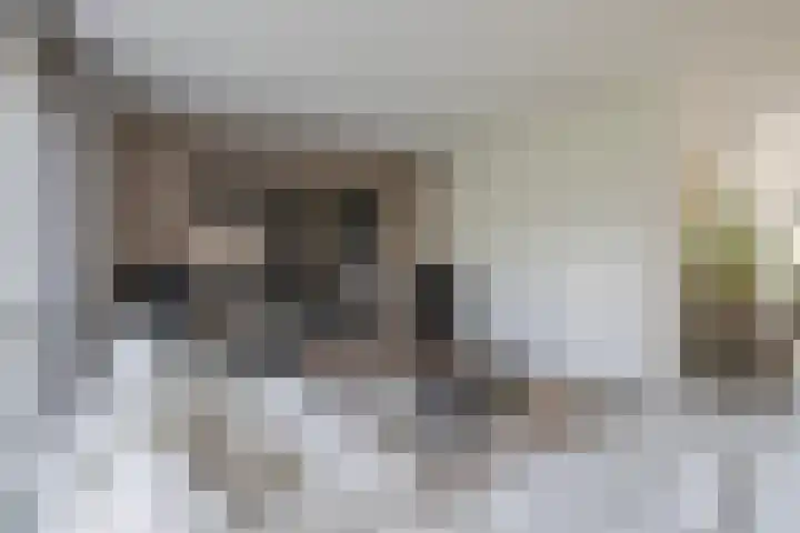Andantelaan 23 Arnhem thumbnail 18