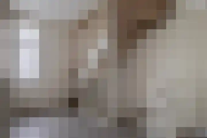 Andantelaan 23 Arnhem thumbnail 19