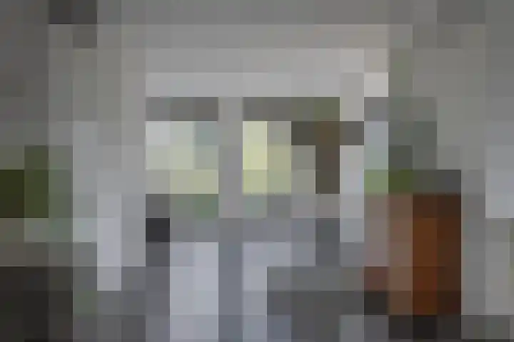 Andantelaan 23 Arnhem thumbnail 8