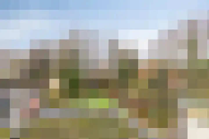 Andantestraat 11 Venray thumbnail 20