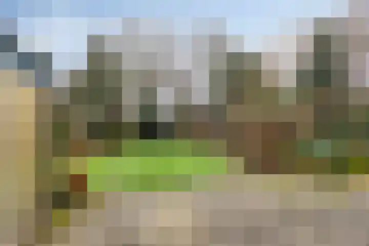 Andantestraat 11 Venray thumbnail 26