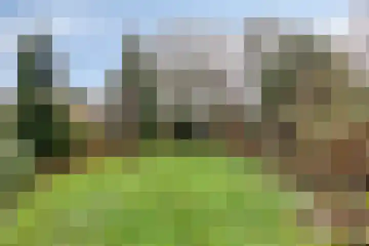 Andantestraat 11 Venray thumbnail 28