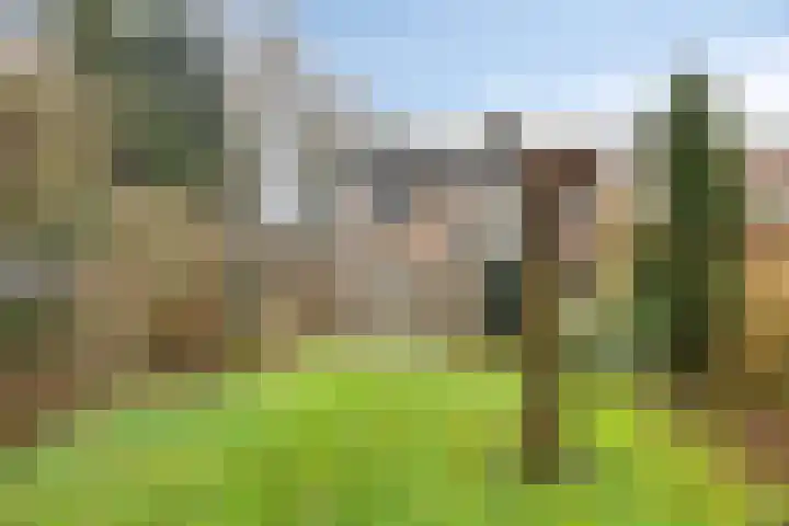 Andantestraat 11 Venray thumbnail 31