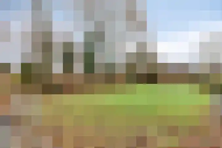 Andantestraat 11 Venray thumbnail 36