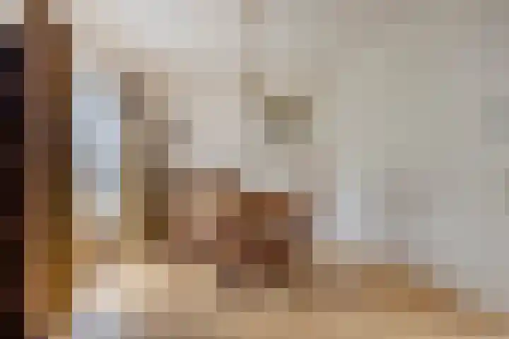 Andantestraat 11 Venray thumbnail 9