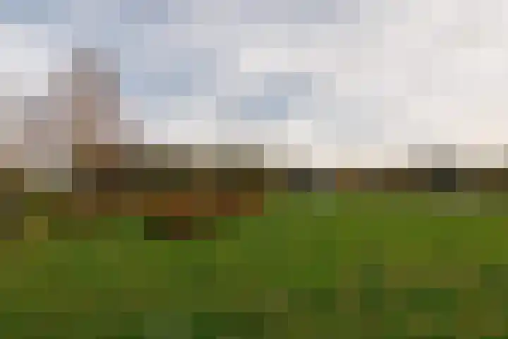 Andantestraat 7 Almere thumbnail 49