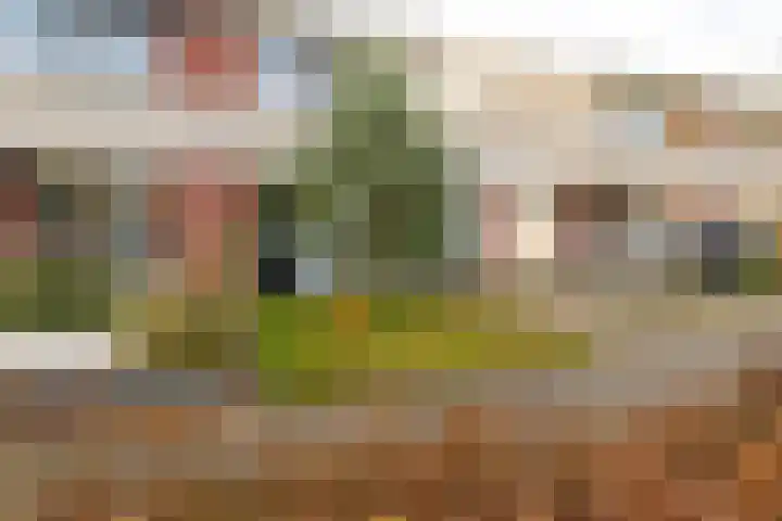 Andantestraat 7 Almere thumbnail 5