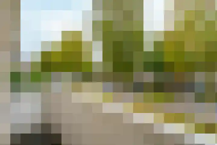 Andantestraat 70 Almere thumbnail 29