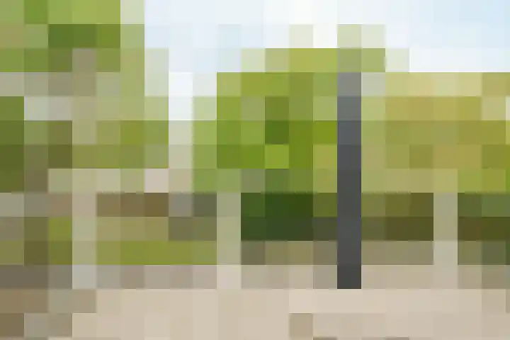 Andantestraat 70 Almere thumbnail 39