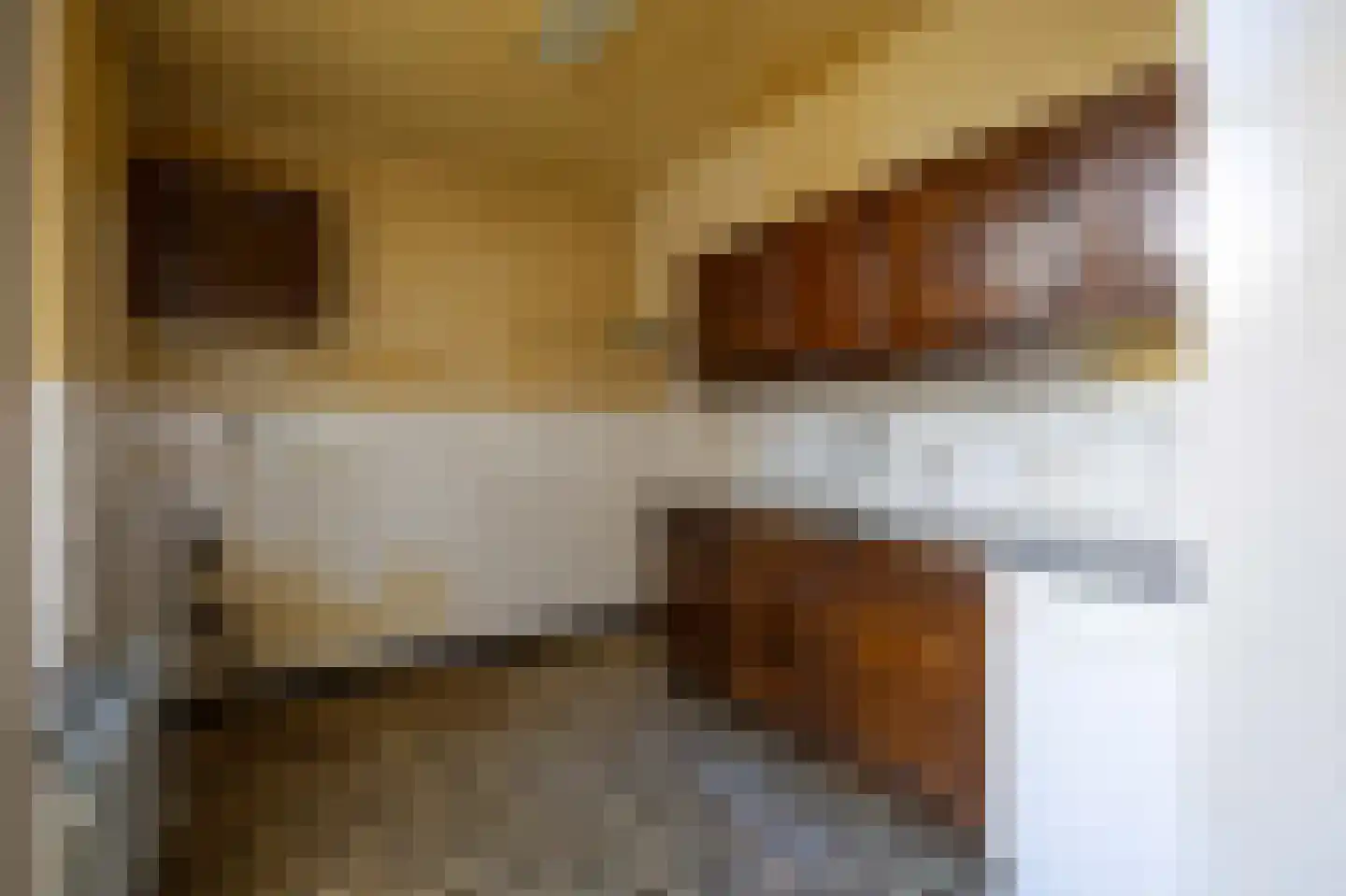 Andantestraat 8 Venray thumbnail 11