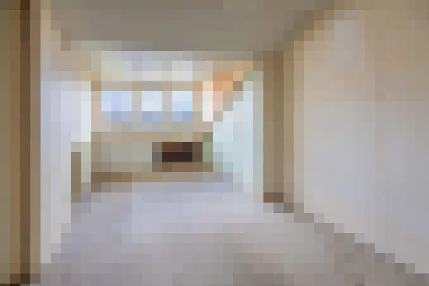 Andantestraat 8 Venray thumbnail 21