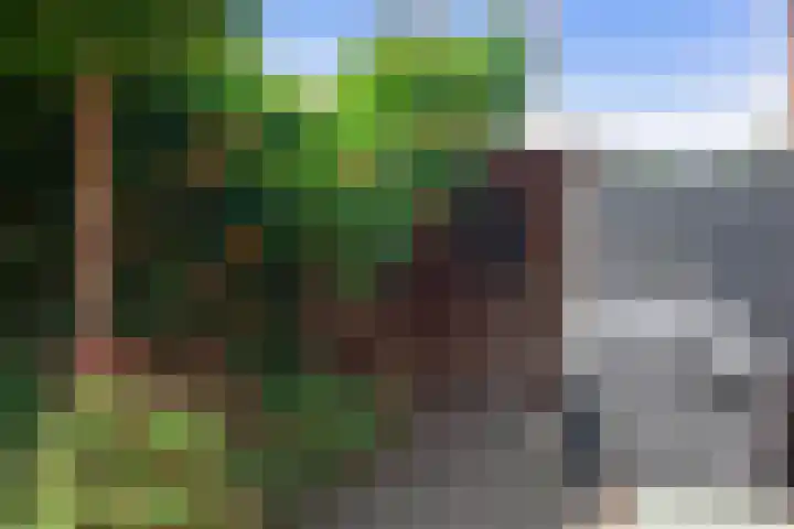 Andelhof 2 Hoofddorp thumbnail 21
