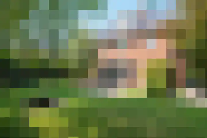 Andelhof 2 Hoofddorp thumbnail 22