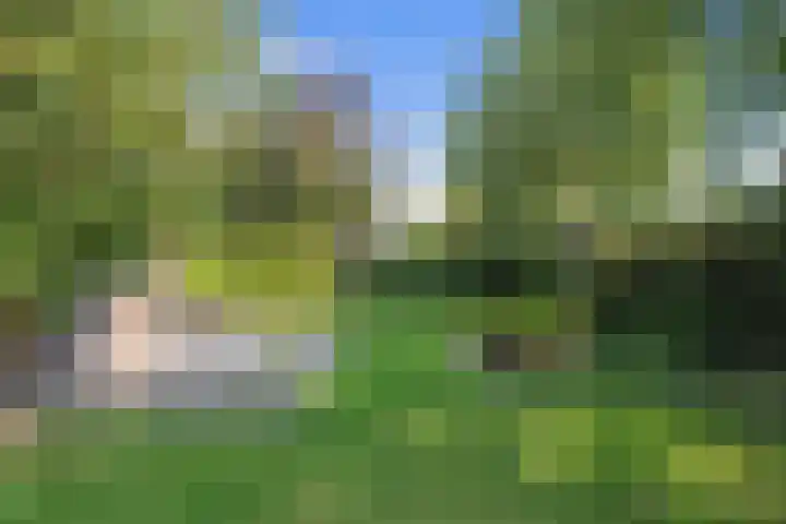 Andelhof 2 Hoofddorp thumbnail 23