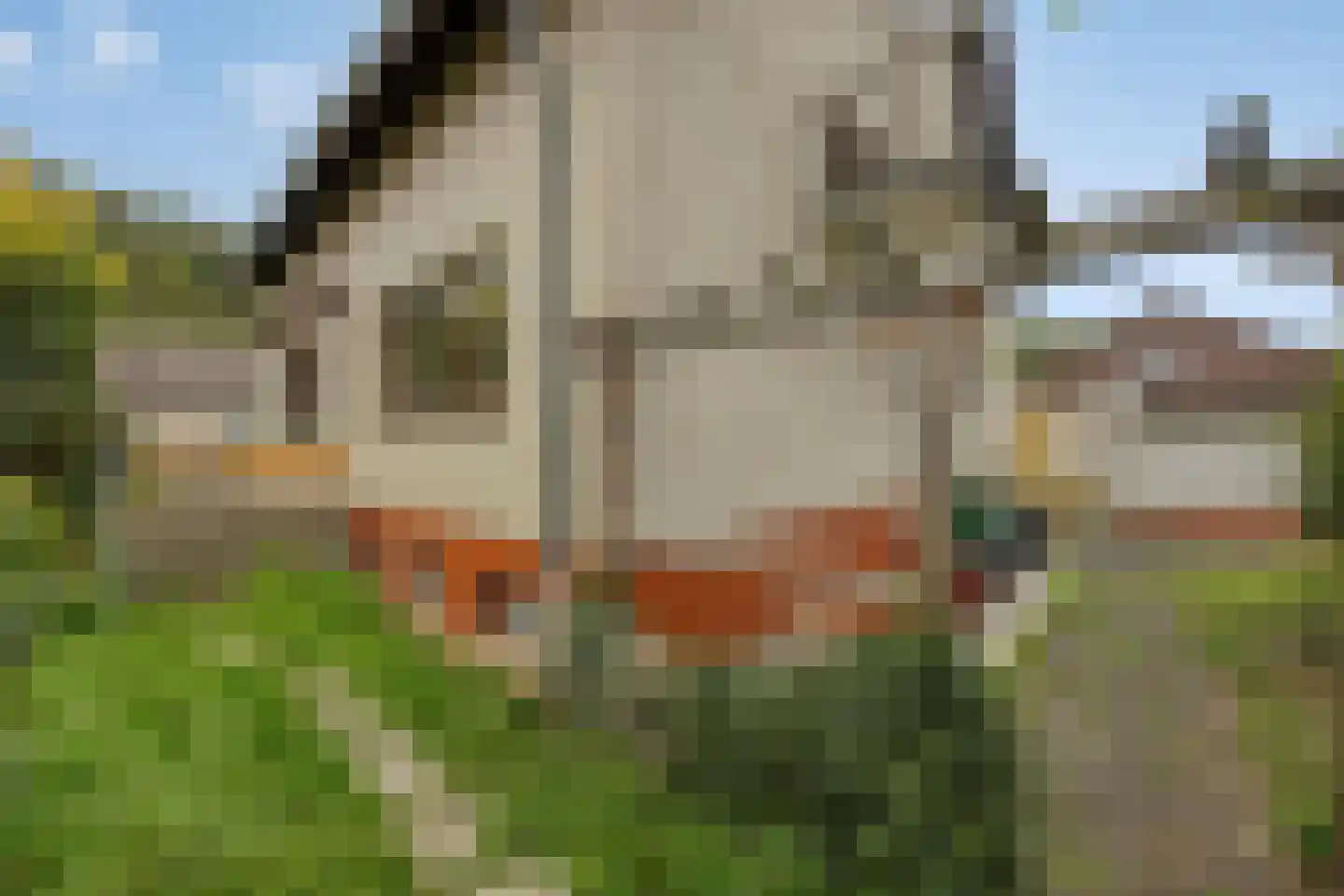 Andelst 37 37 Andelst thumbnail 28