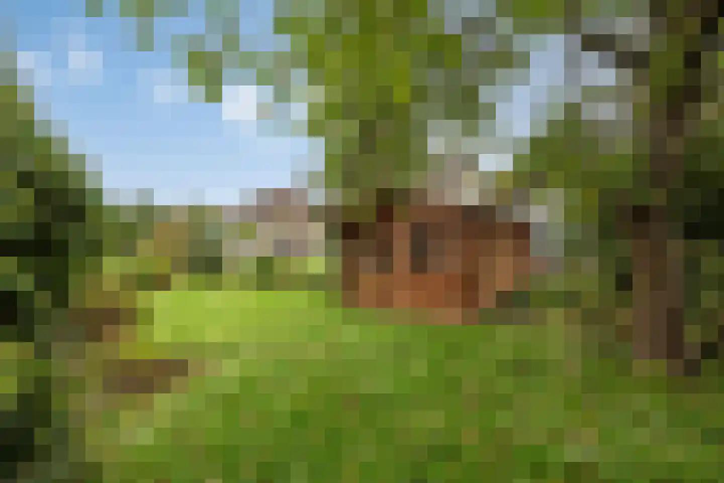 Andelst 37 37 Andelst thumbnail 30