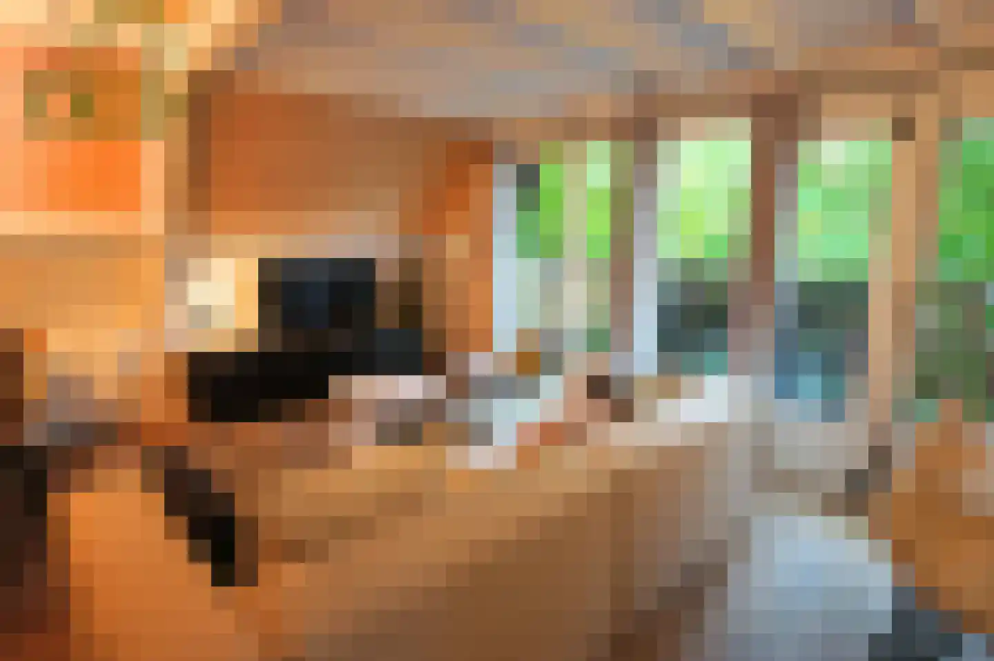 Andenne 20 B210 Bakel thumbnail 11