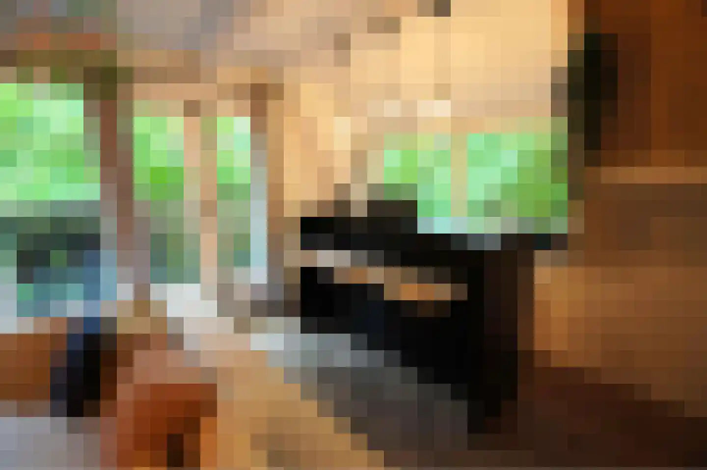 Andenne 20 B210 Bakel thumbnail 12