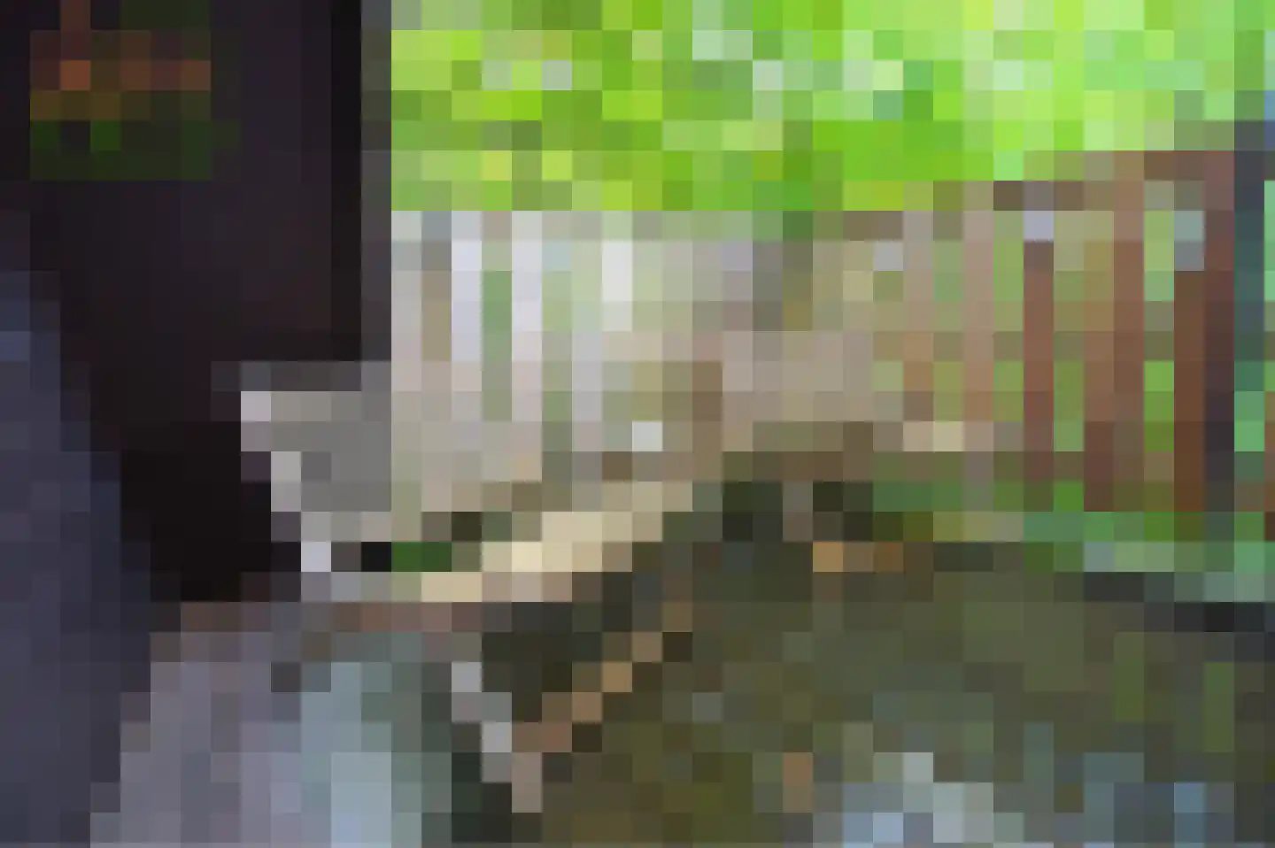Andenne 20 B210 Bakel thumbnail 15