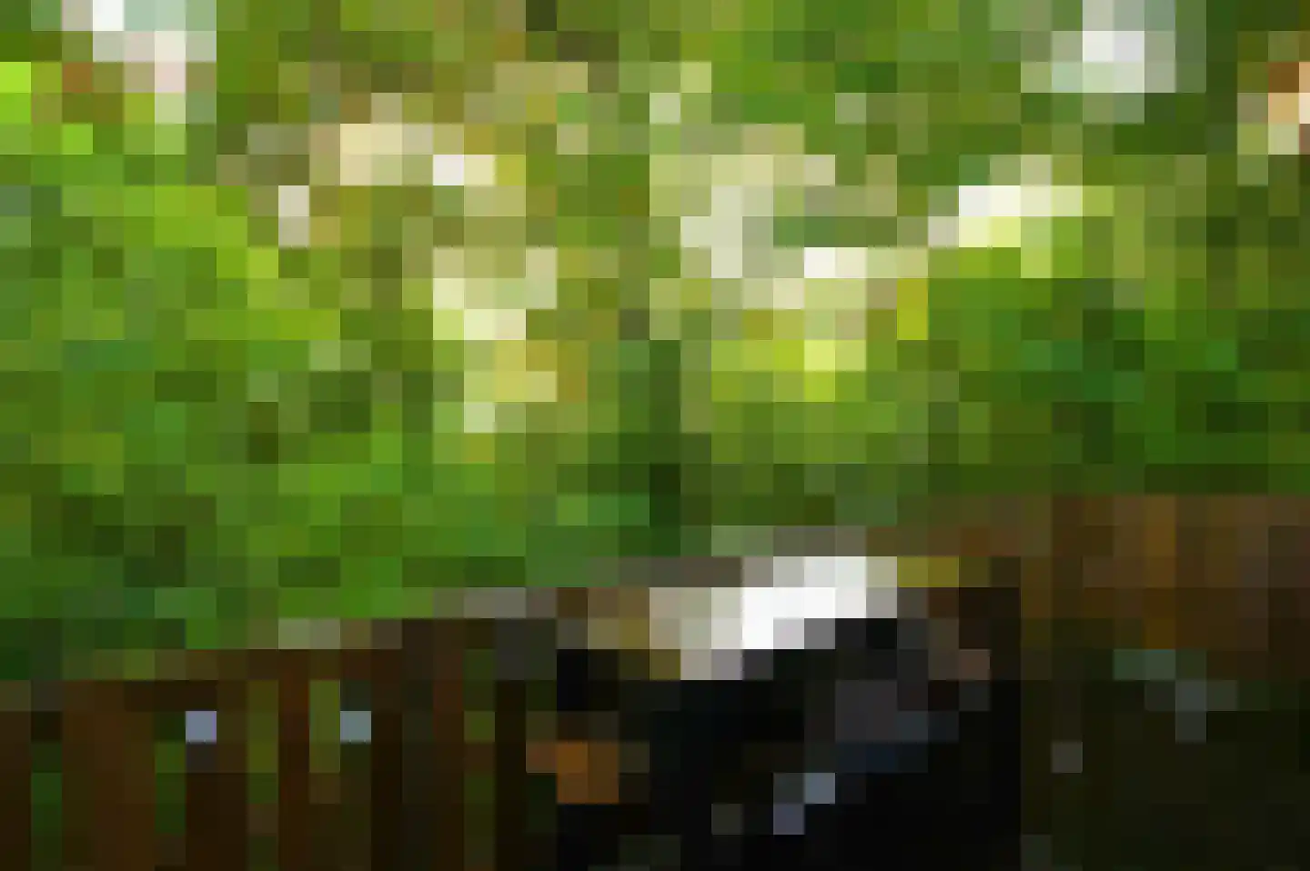 Andenne 20 B210 Bakel thumbnail 16