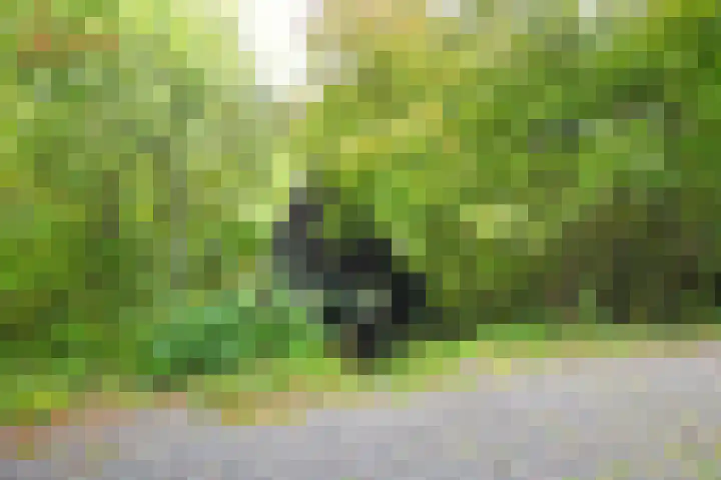 Andenne 20 B210 Bakel thumbnail 21