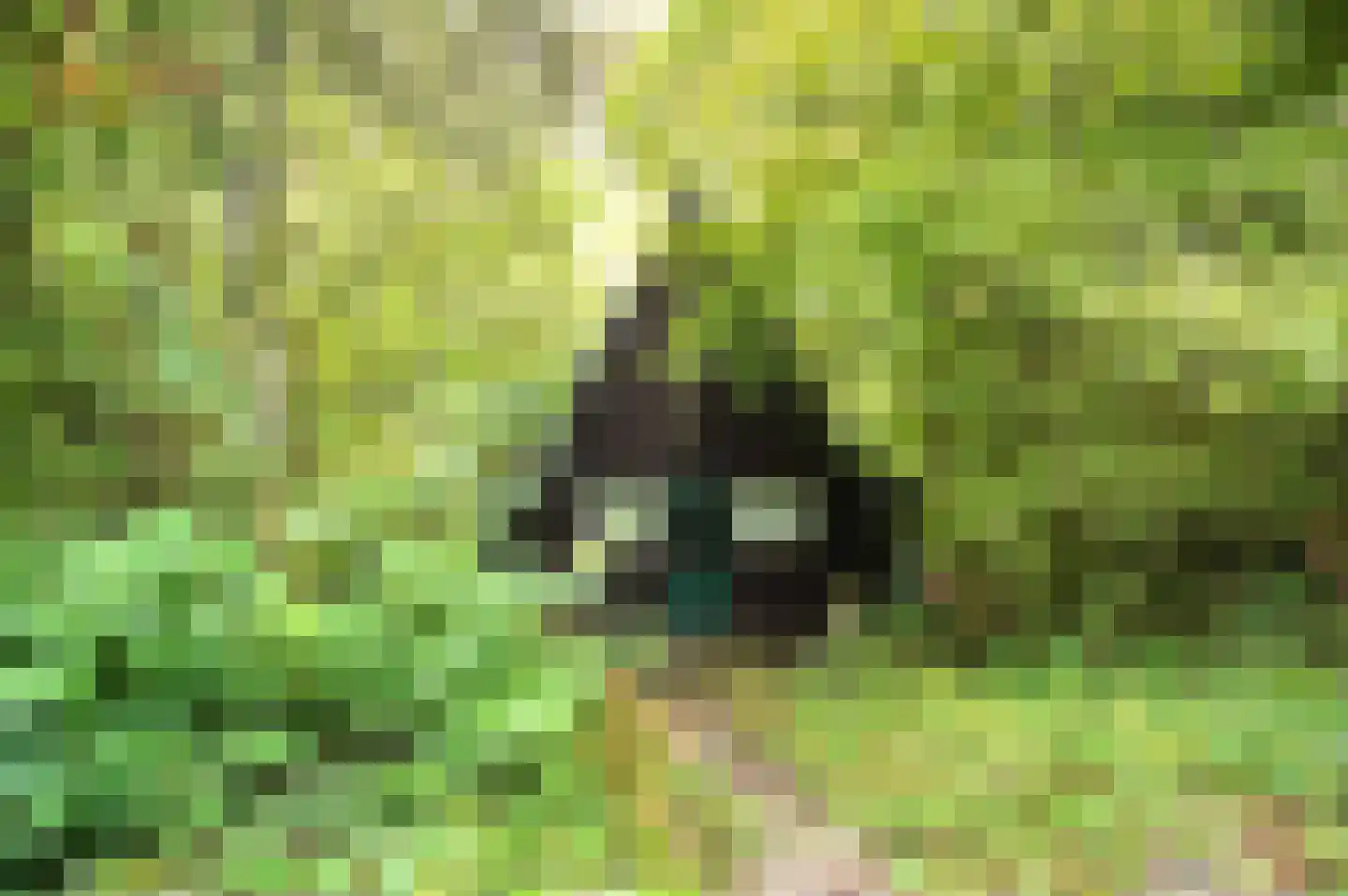 Andenne 20 B210 Bakel thumbnail 4
