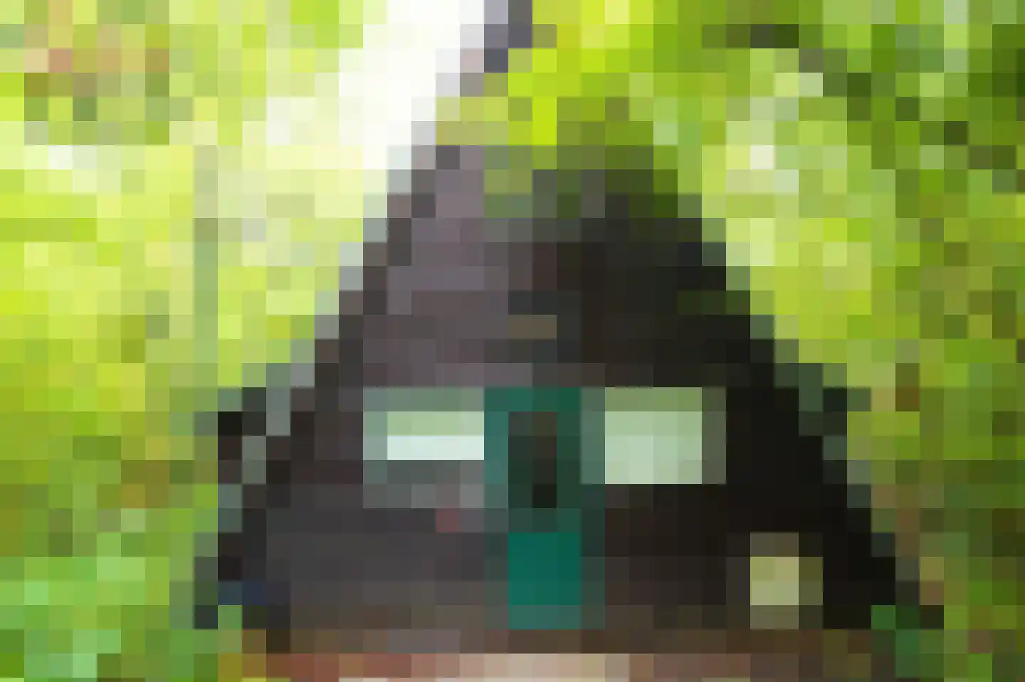 Andenne 20 B210 Bakel thumbnail 5