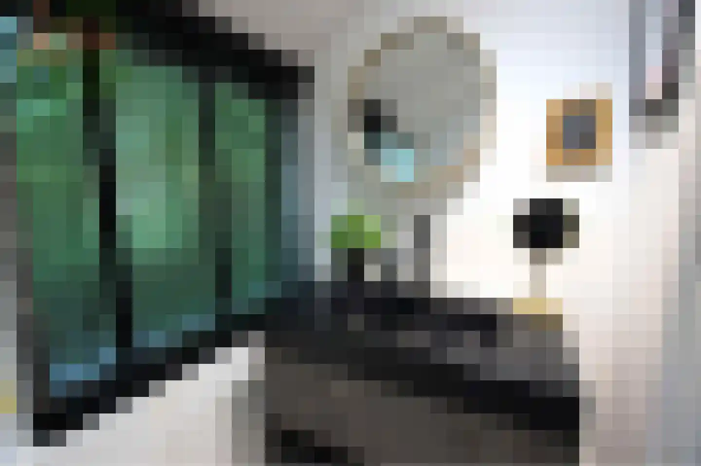 Andenne 20 B210 Bakel thumbnail 7
