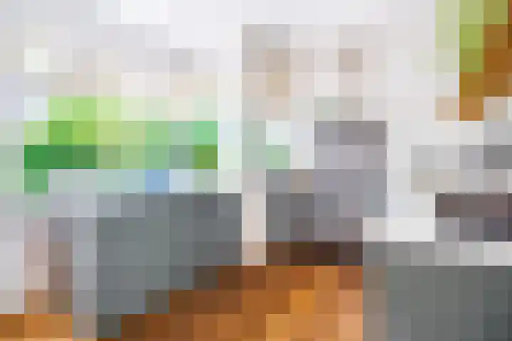 Anderenseweg 29 Eext thumbnail 4