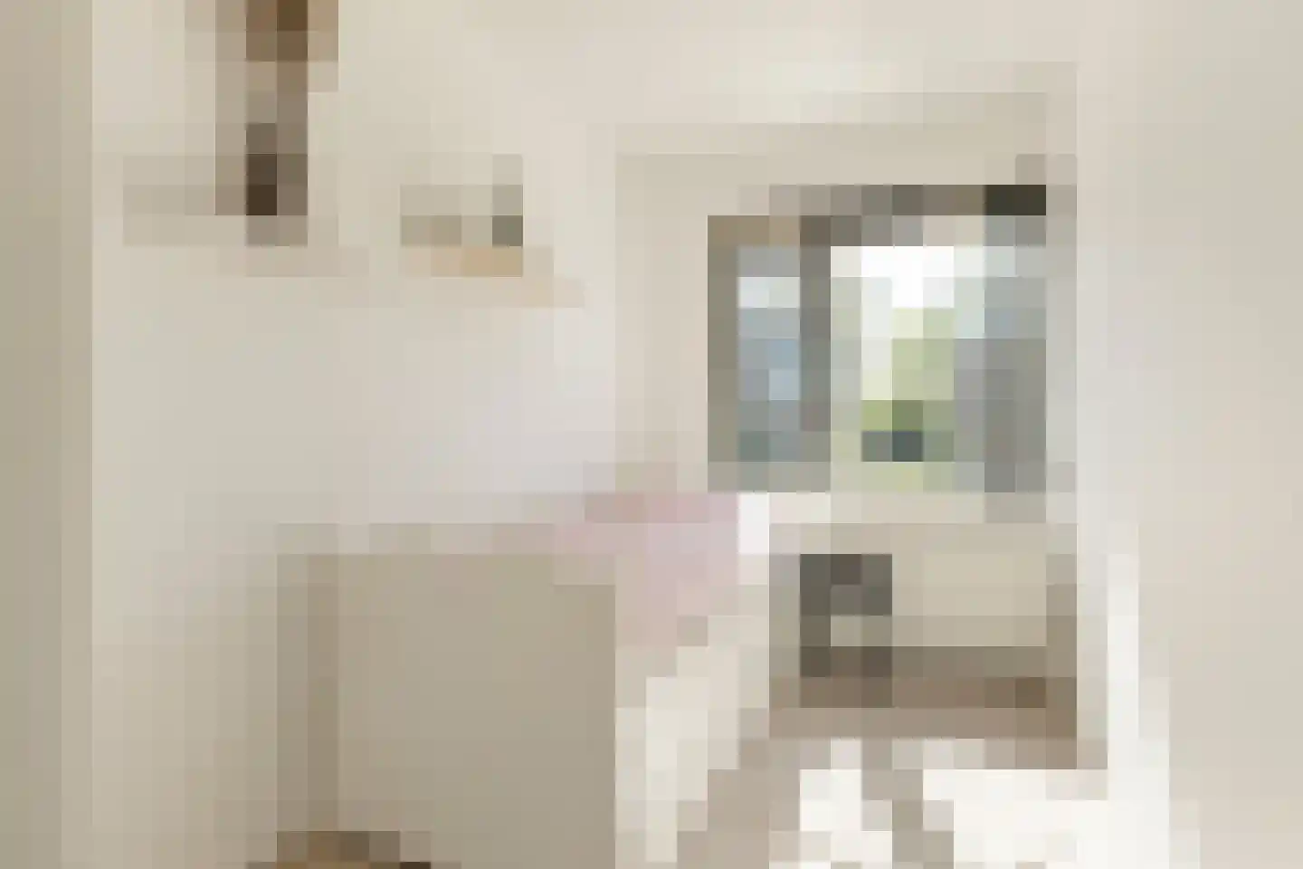 Anderiesenstraat 2 Amsterdam thumbnail 10