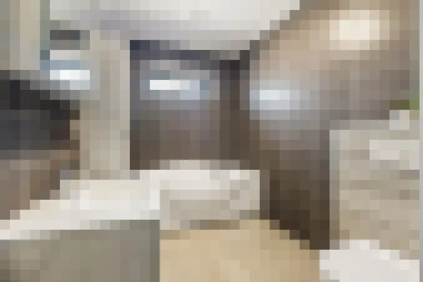 Anderiesenstraat 2 Amsterdam thumbnail 12
