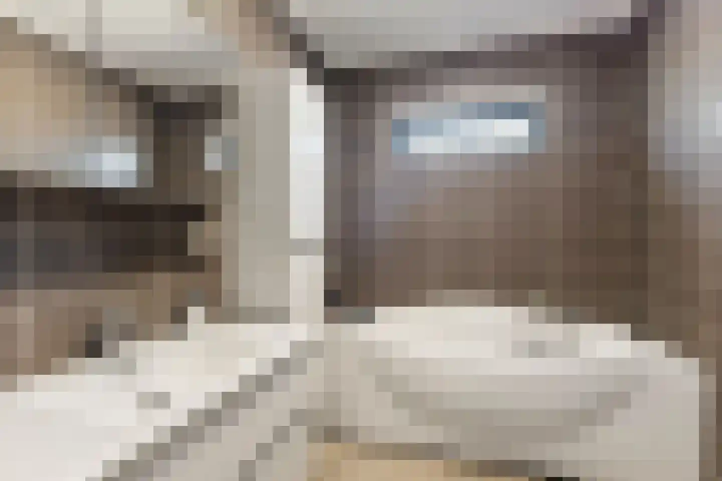 Anderiesenstraat 2 Amsterdam thumbnail 13
