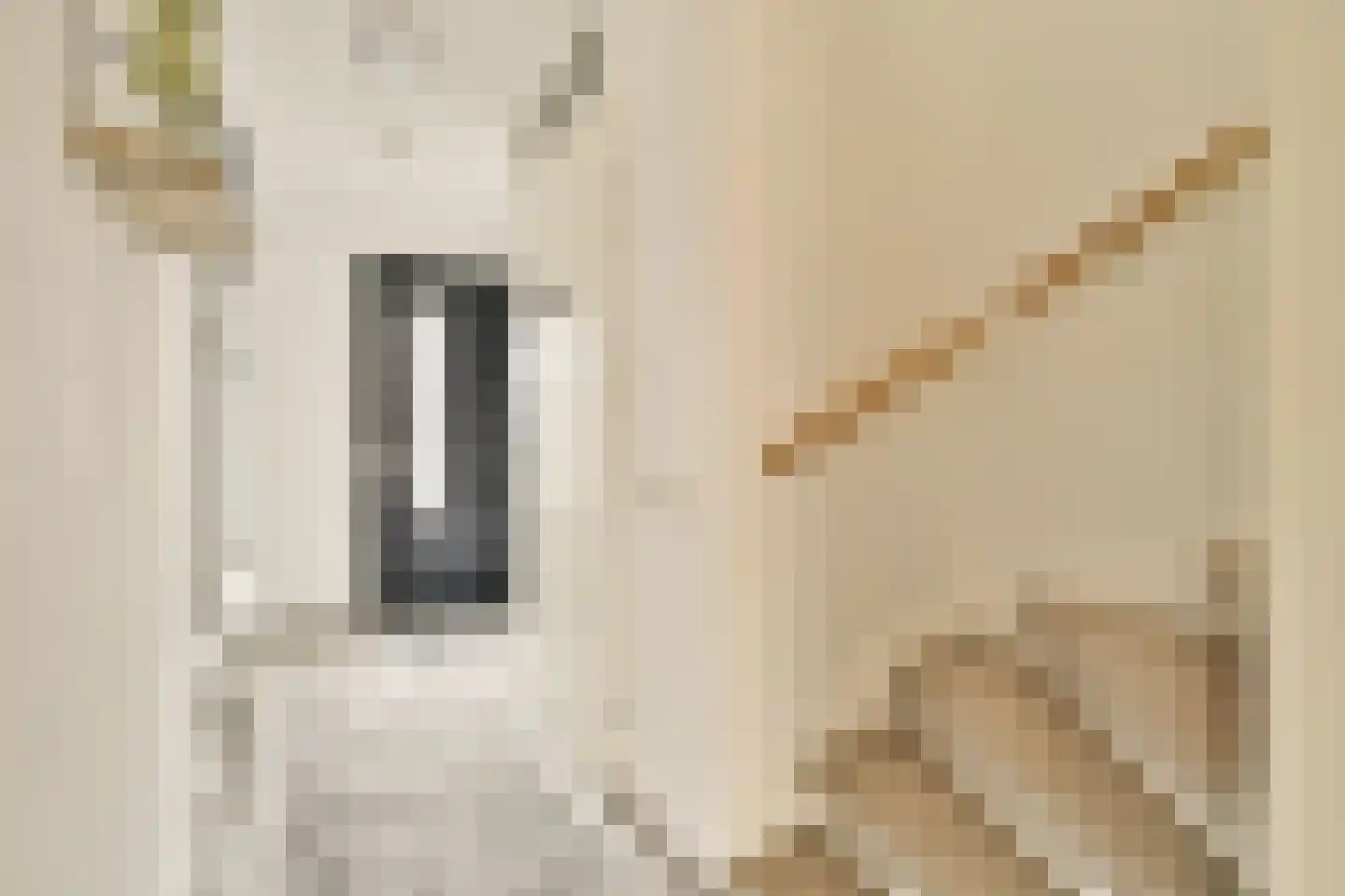 Anderiesenstraat 2 Amsterdam thumbnail 7