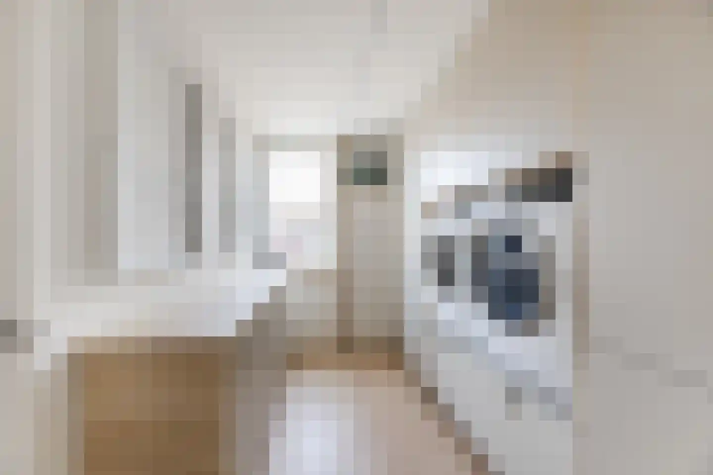 Anderlechtstraat 14 Breda thumbnail 18