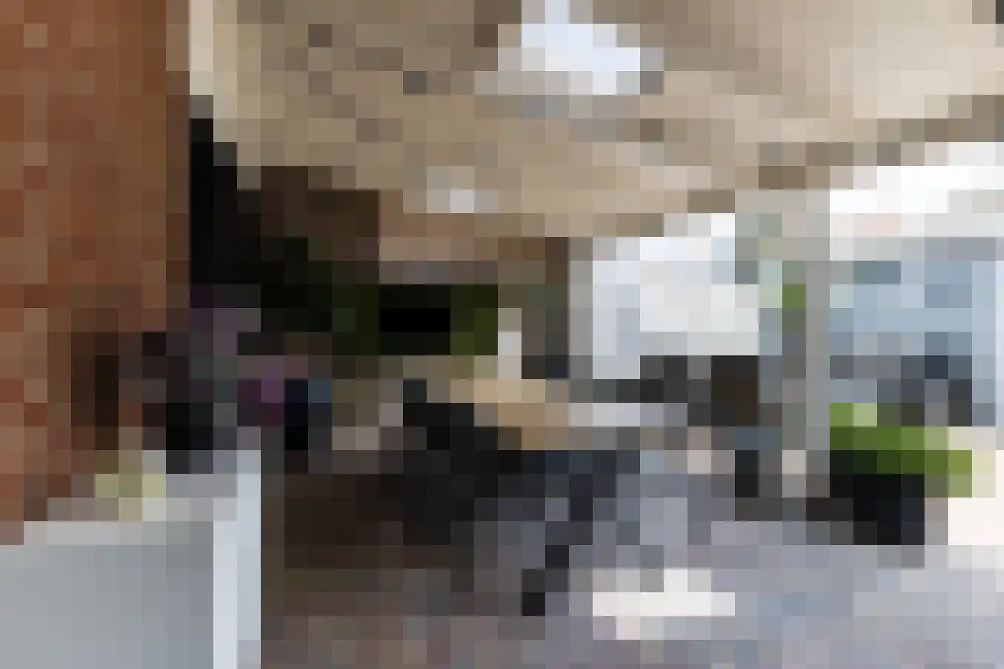 Anderlechtstraat 14 Breda thumbnail 32