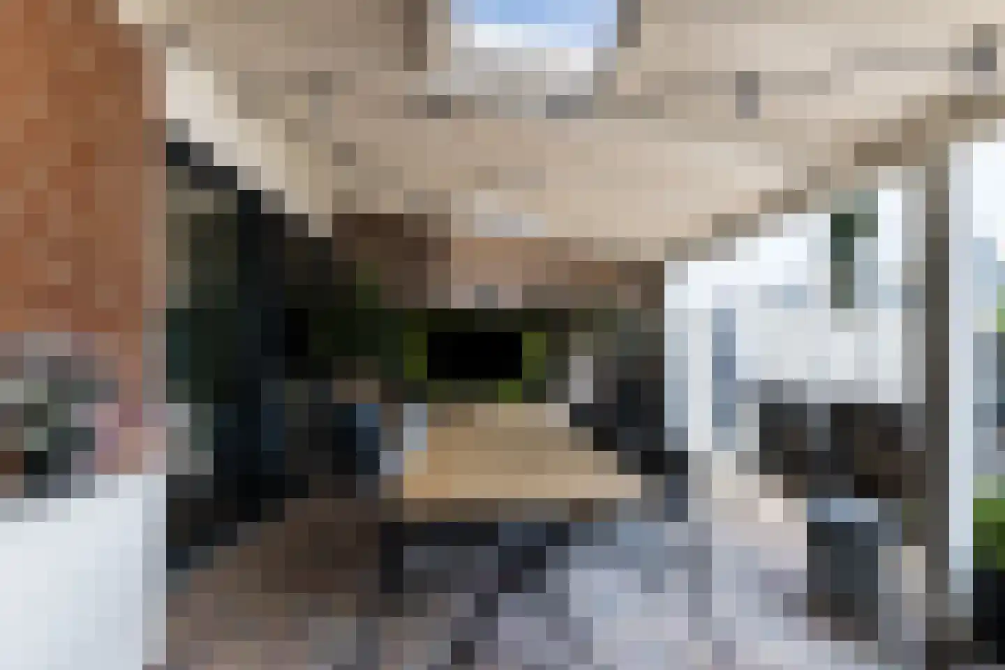 Anderlechtstraat 14 Breda thumbnail 33