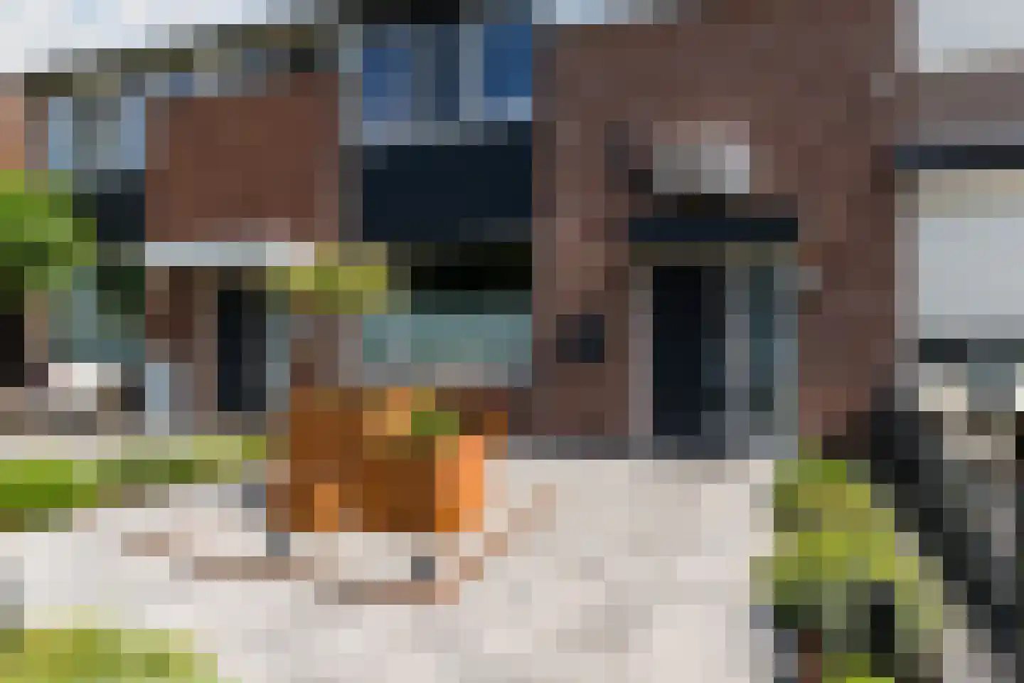Anderlechtstraat 14 Breda thumbnail 40